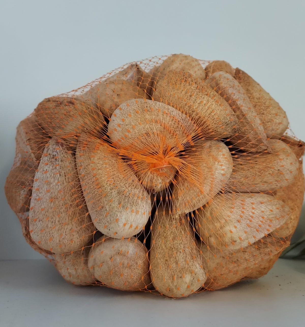 Bunya Nuts – 1kg Bundle