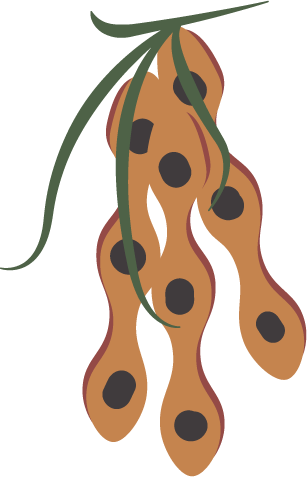 Wattleseed Macadamia Muffin Mix - Gluten Free