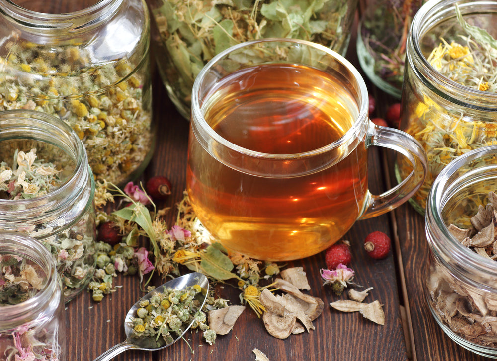 Bush Brew Tea and Yarn up  with Aunty Dale - Hands On Workshop