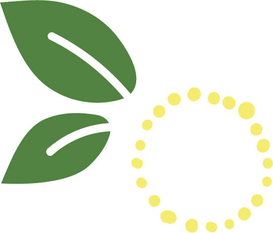 SPIRIT OF PLACE -  Lemon Myrtle Soap