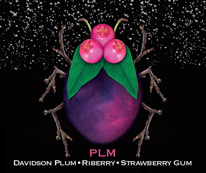 PLM Davidson Plum ● Riberry ● Strawberry Gum [6 pack cans]