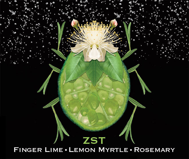 ZST Finger Lime ● Lemon Myrtle ● Rosemary [6 PACKCANS]