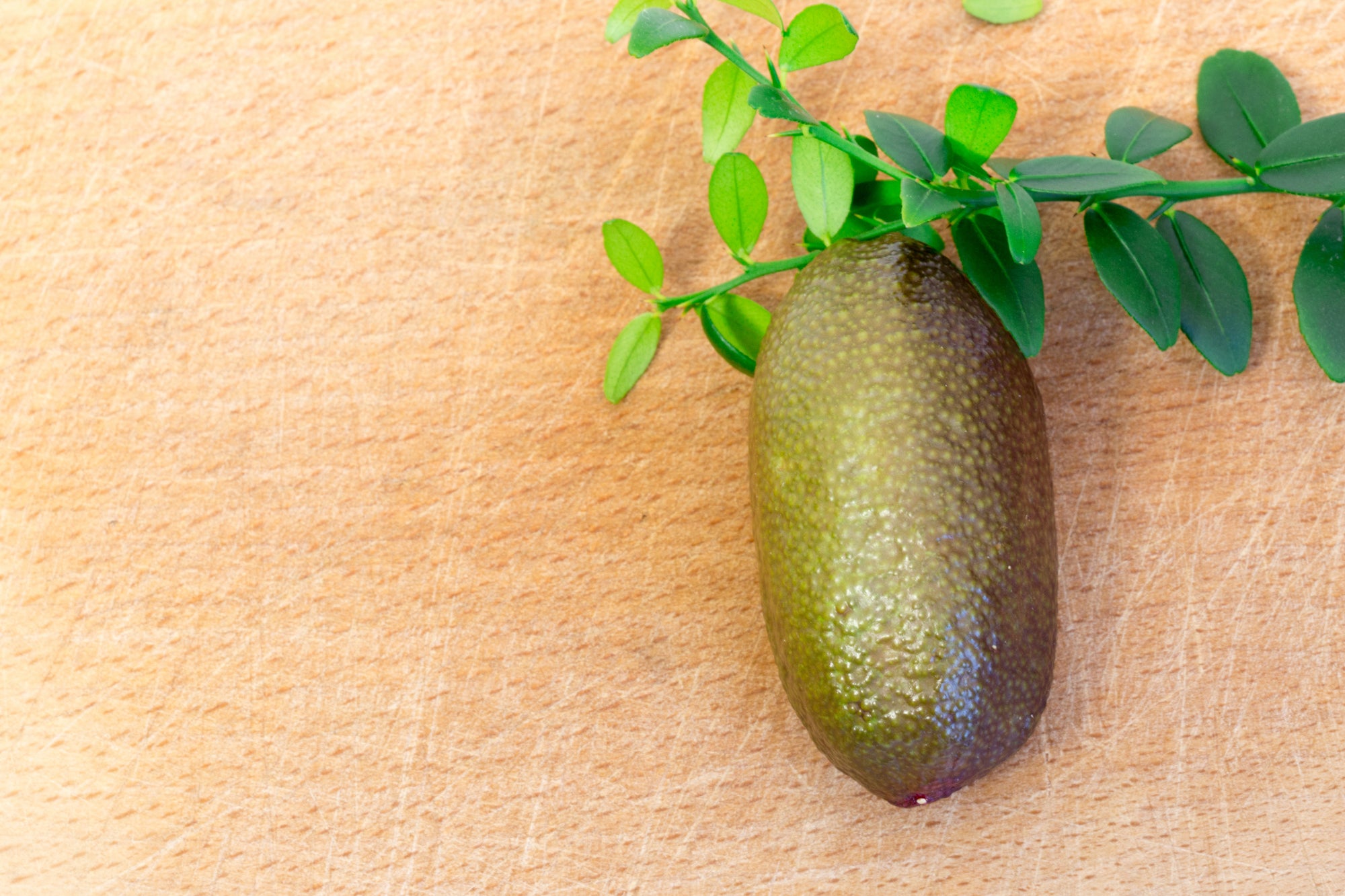 Jade Finger Lime Olive Oil 100ml